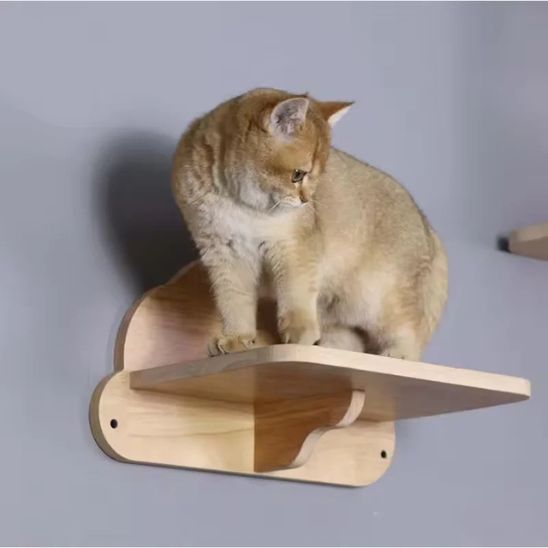 Arbre a chat nuage idéal