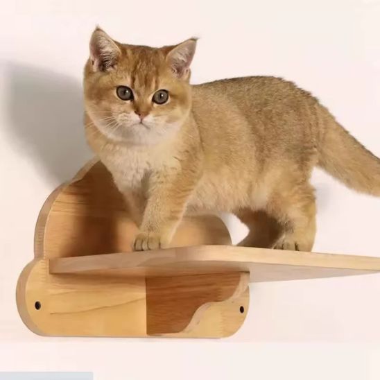 Arbre a chat nuage pratique