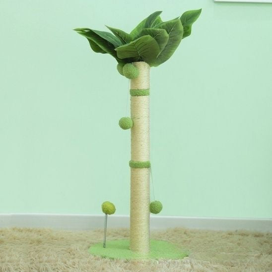 arbre a chat palmier vert clair