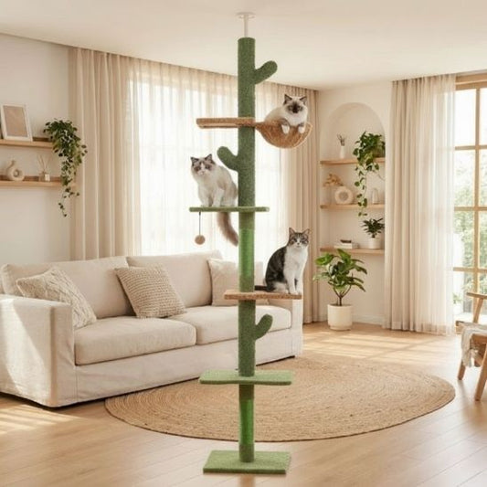 arbre a chat plafond cactus