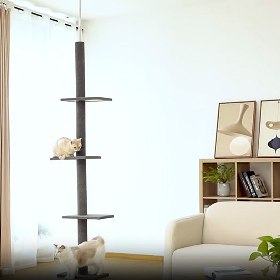 arbre a chat plafond idéal