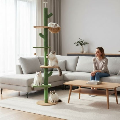 arbre a chat plafond idéal