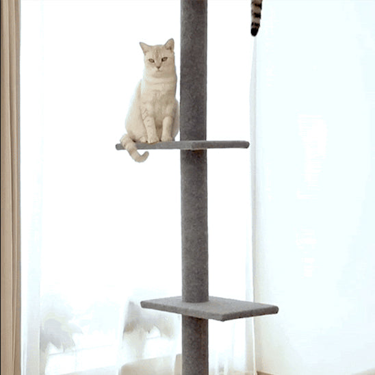 arbre a chat plafond