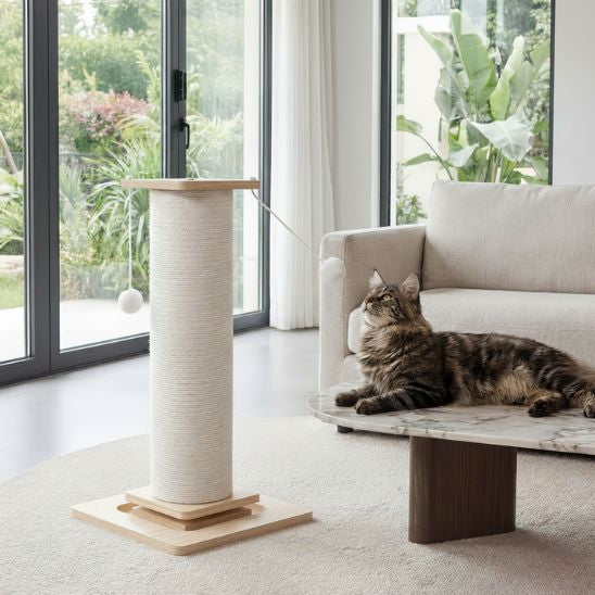 Arbre a chat poteau balles