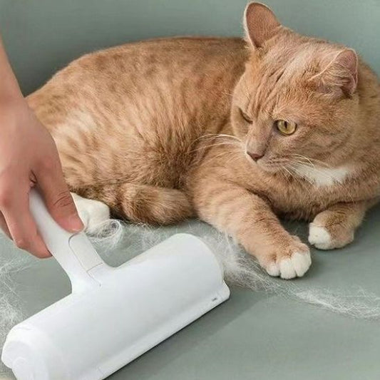 brosse-pour-chat-idéale