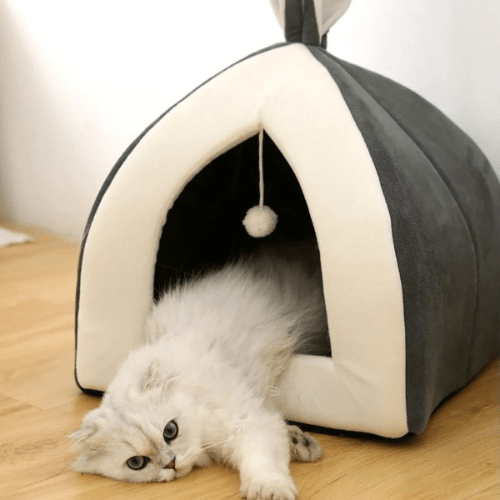 cabane pour chat oreilles de lapin - Happy minet