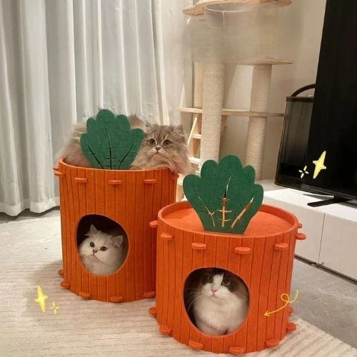 cabane pour chat unique