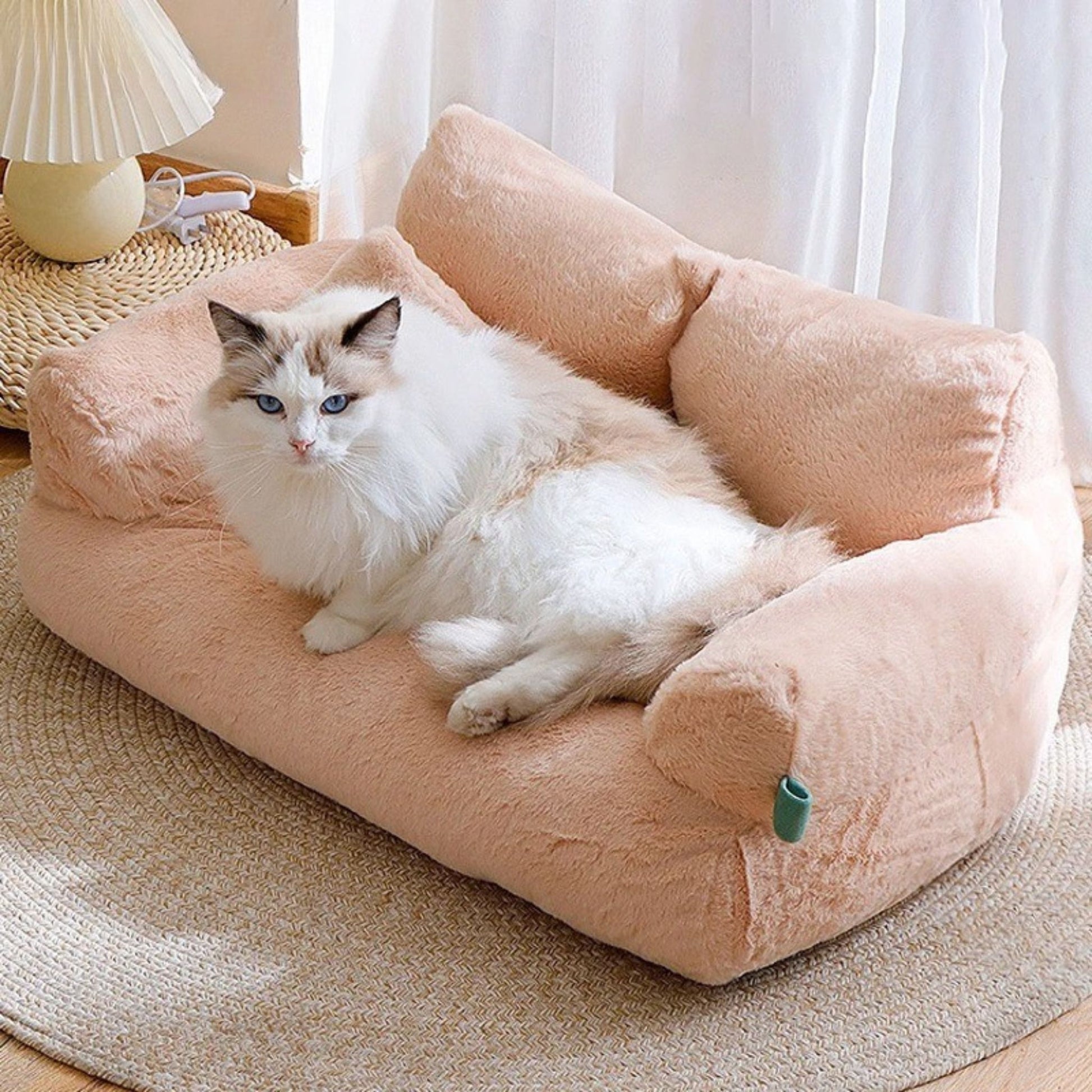 canapé-pour-chat-doux
