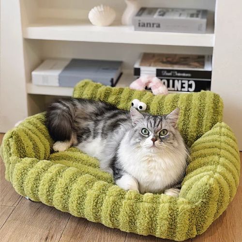 canape pour chat raye mobile
