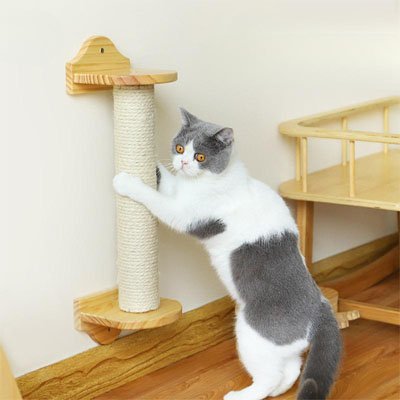 corde arbre à chat remplacement