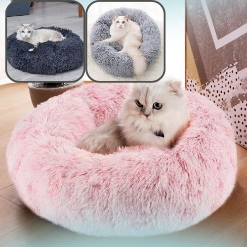 coussin-chat-rose