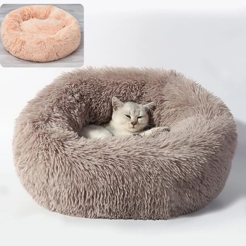 coussin-chat-brun-clair