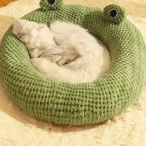 coussin-chat-grenouille