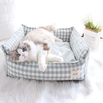 coussin-chat-page-accueil