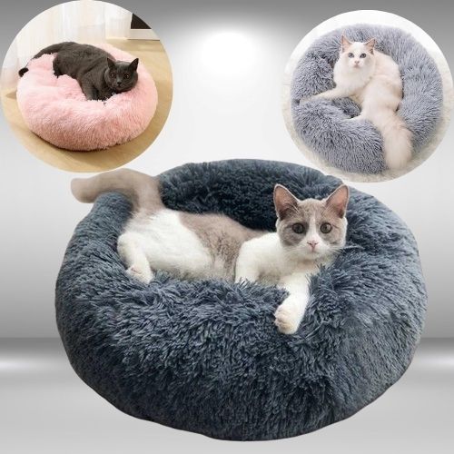 coussin-chat-pour-tous