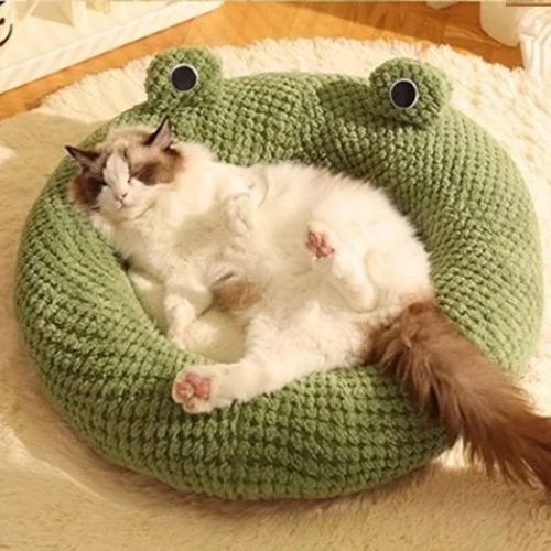 coussin-chat-qualité