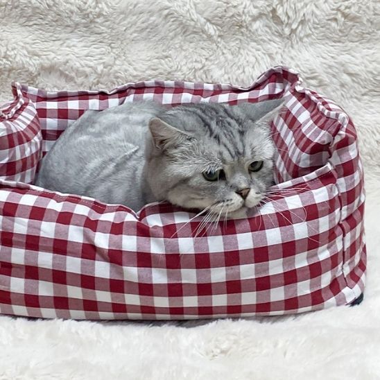 coussin chat vichy - Happy minet