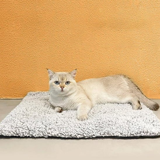 coussin chauffant chat doux - Happy minet