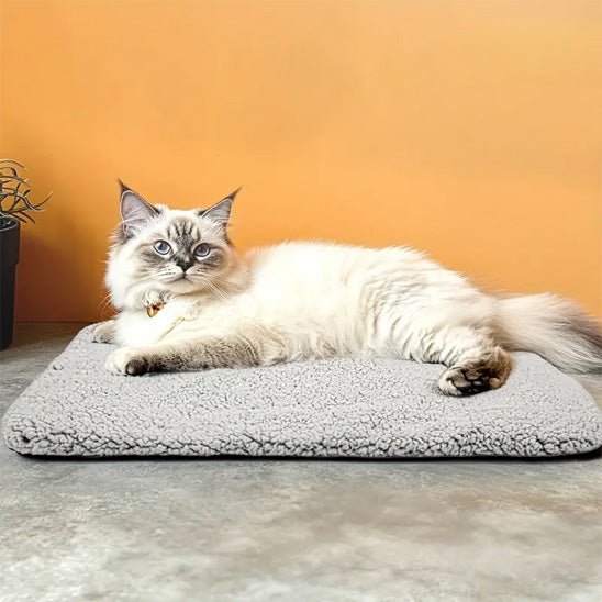 coussin chauffant chat doux - Happy minet