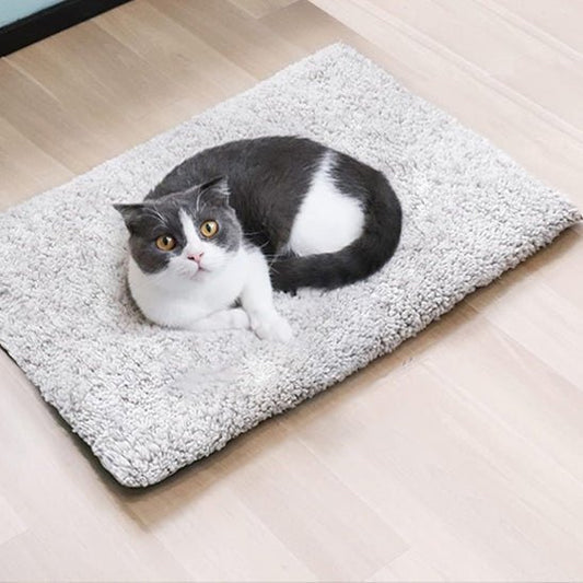 coussin chauffant chat doux - Happy minet