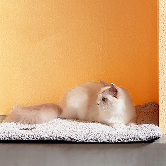 coussin chauffant chat doux - Happy minet