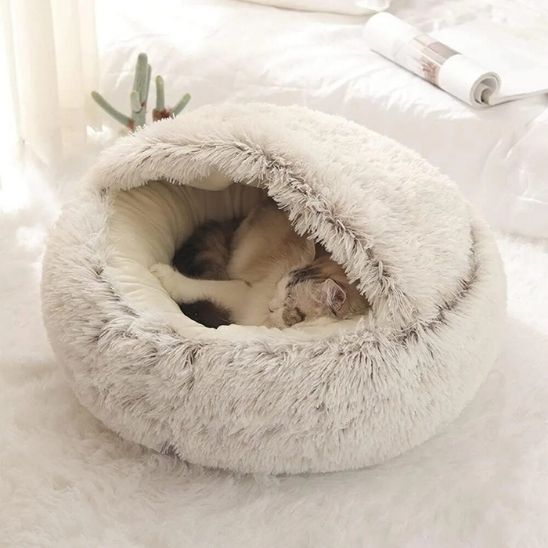 coussin-pour-chat-confort-lit