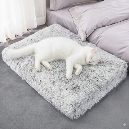coussin-pour-chat-gris-clair