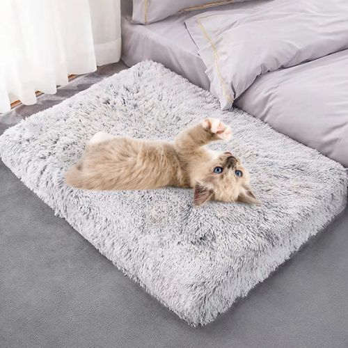 coussin pour chat orthopédique - Happy minet
