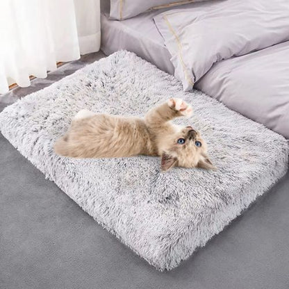 coussin pour chat orthopédique - Happy minet