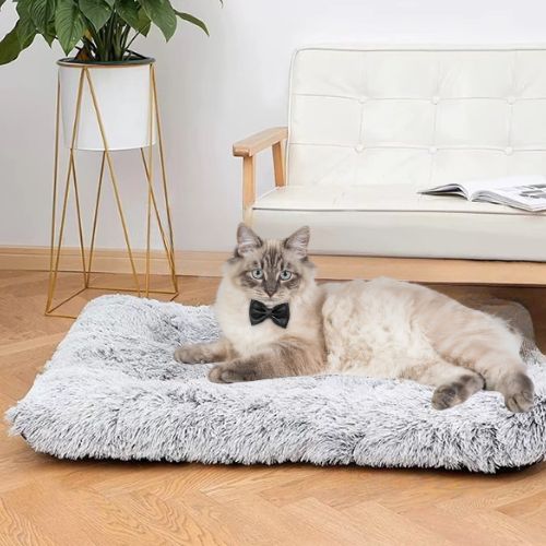 coussin pour chat orthopédique - Happy minet