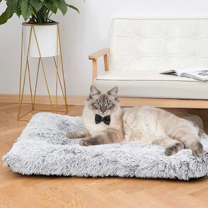 coussin pour chat orthopédique - Happy minet