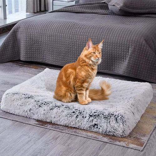 coussin pour chat orthopédique - Happy minet