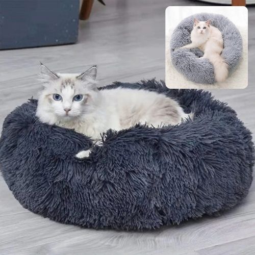 coussin-chat-gris