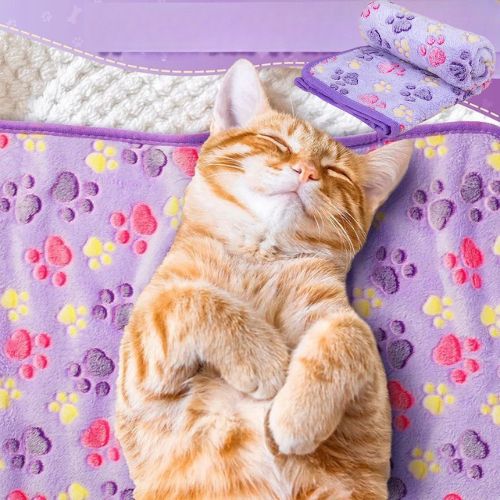 couverture chat douce patte - Happy minet