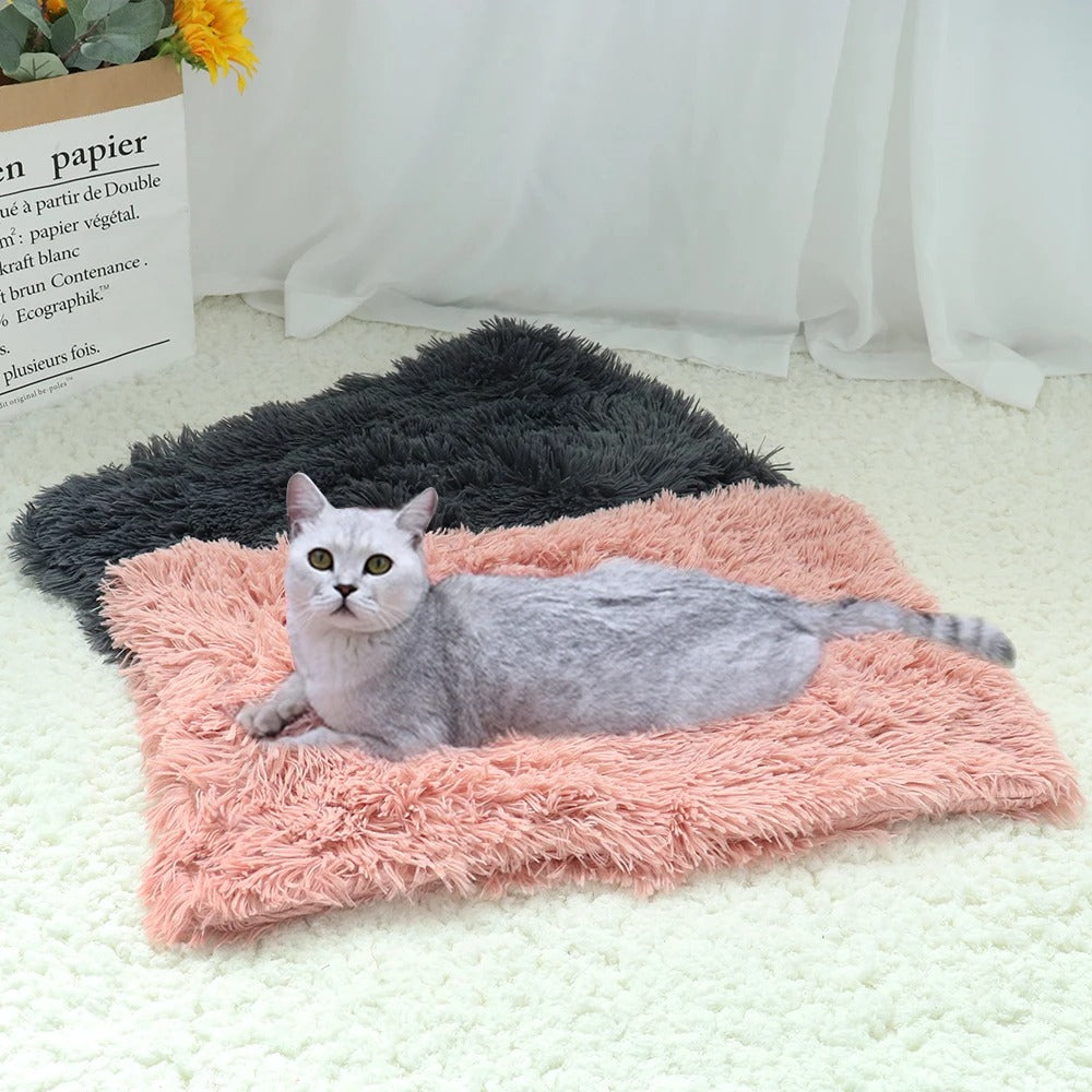 couverture-pour-chat-fourrure