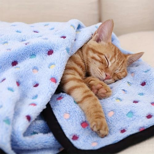 couverture pour chats douillette - Happy minet