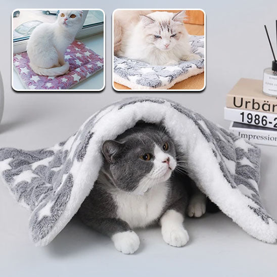 couverture-pour-chat-chaude