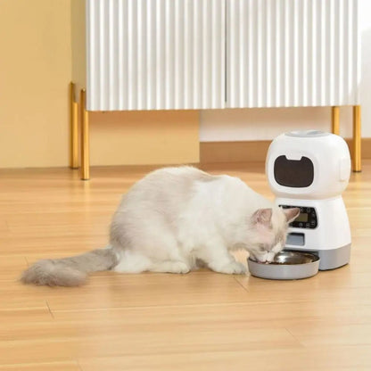 distributeur-automatique-croquettes-chat-alimentation