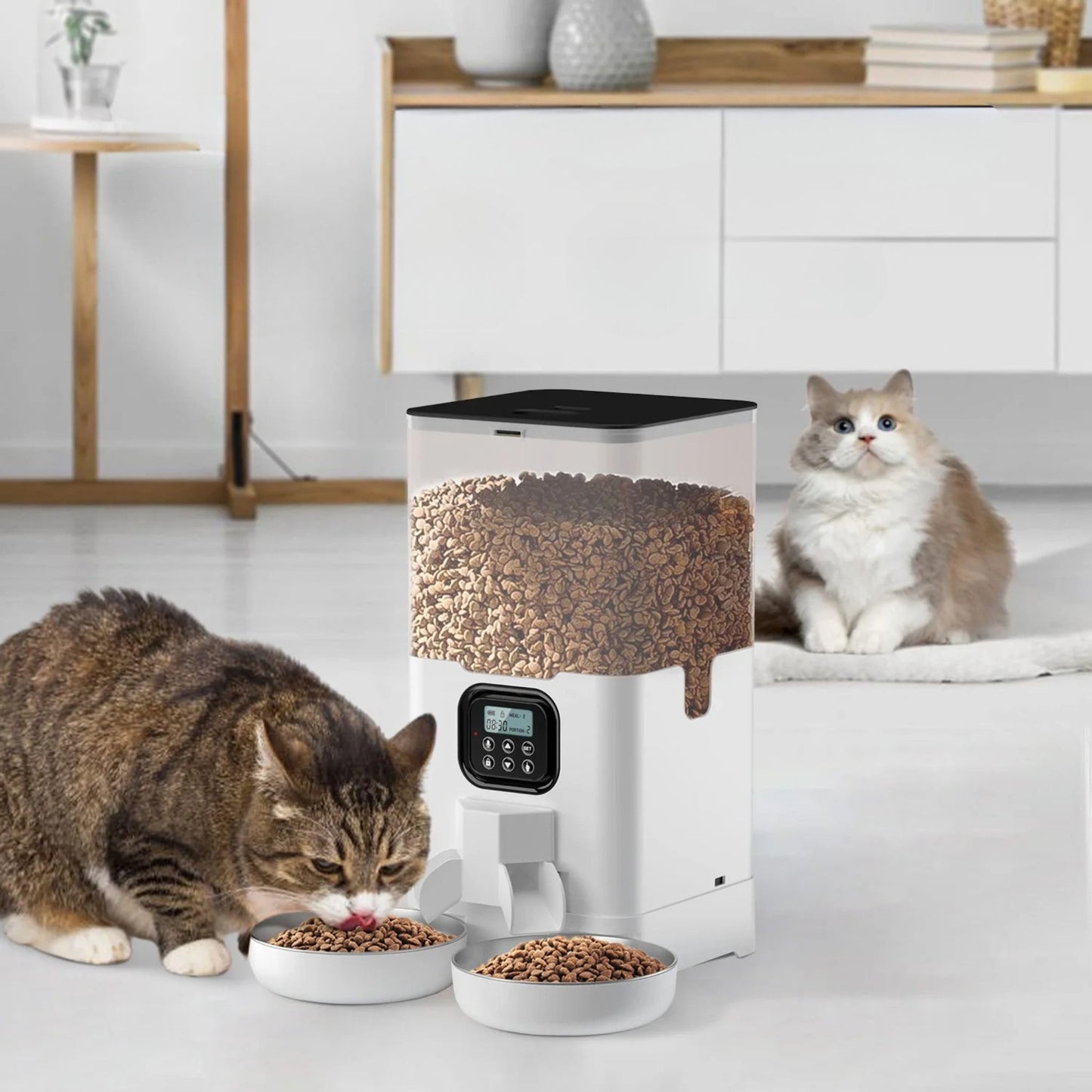 distributeur-croquette-chat-duo