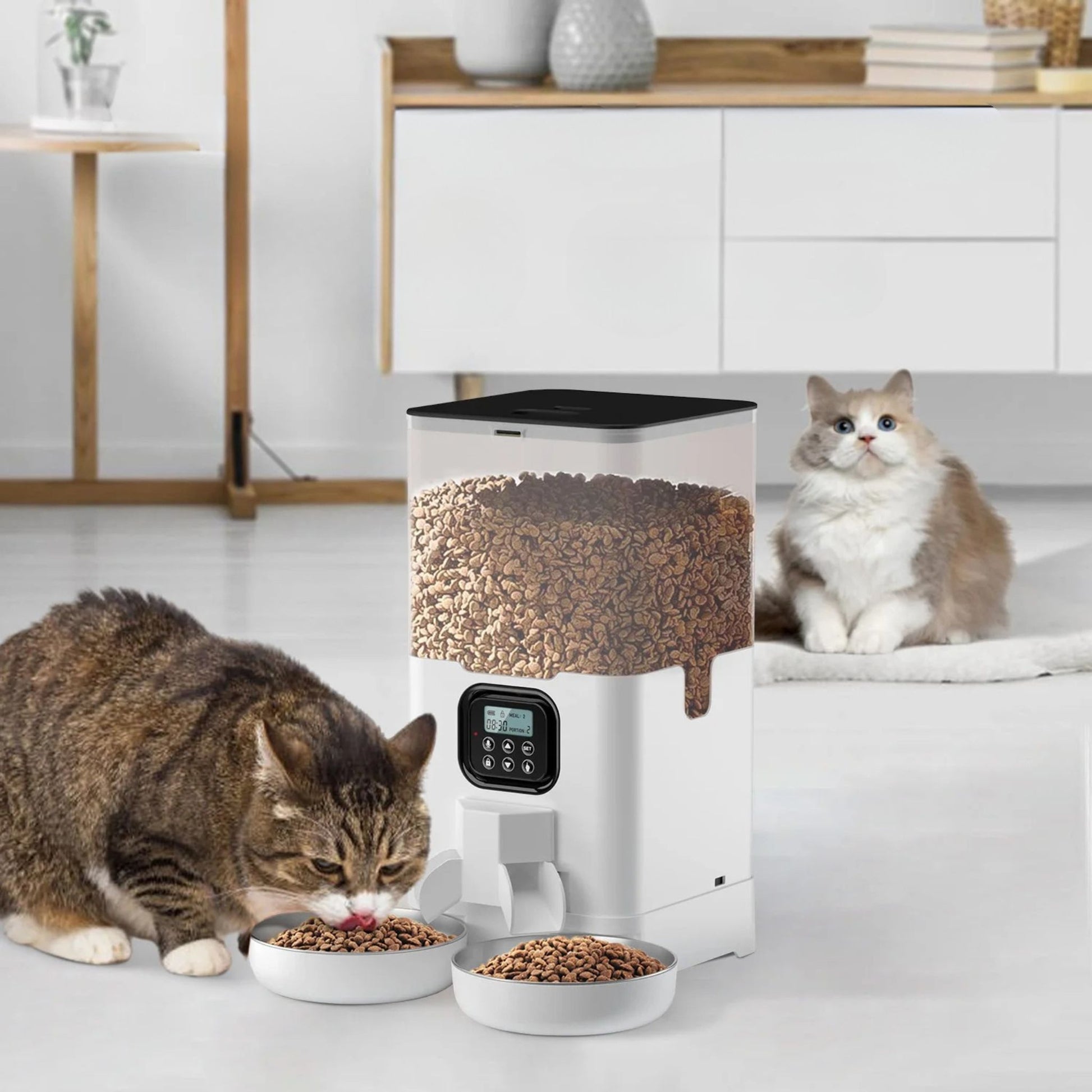 distributeur-croquette-chat-duo