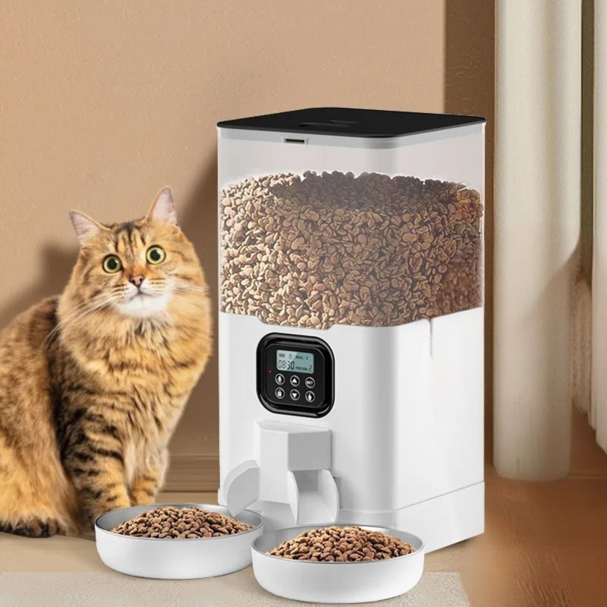distributeur-croquette-chat-élégant