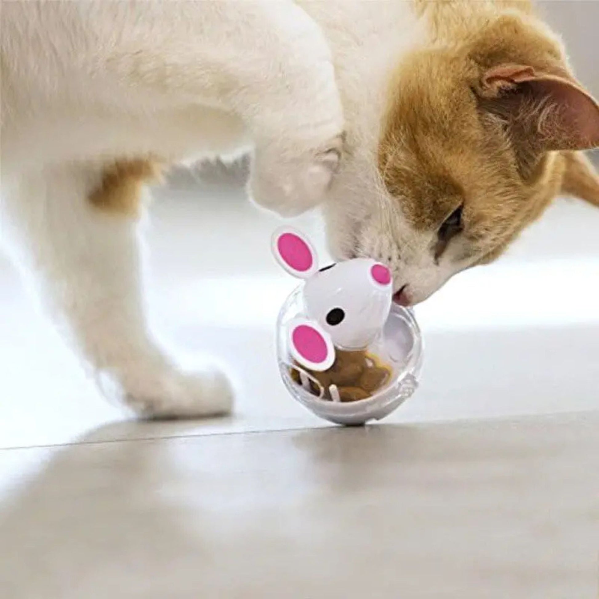 distributeur-croquettes-chat-amusant-souris