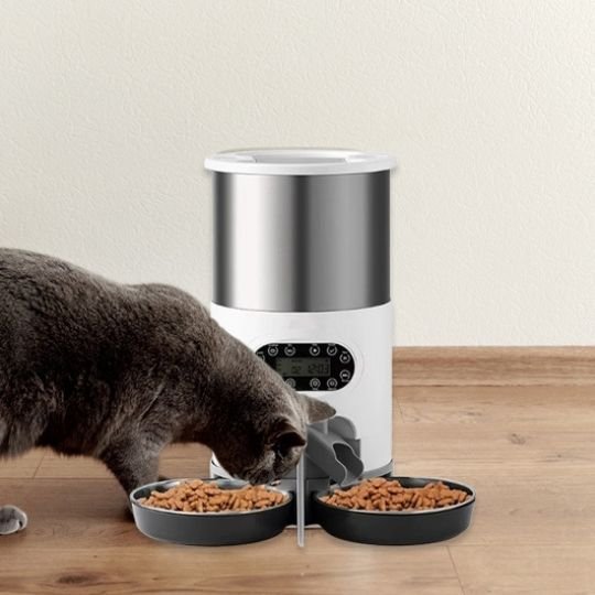 distributeur croquettes chat automatique programmable