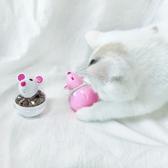 distributeur-croquettes-chat-chasse
