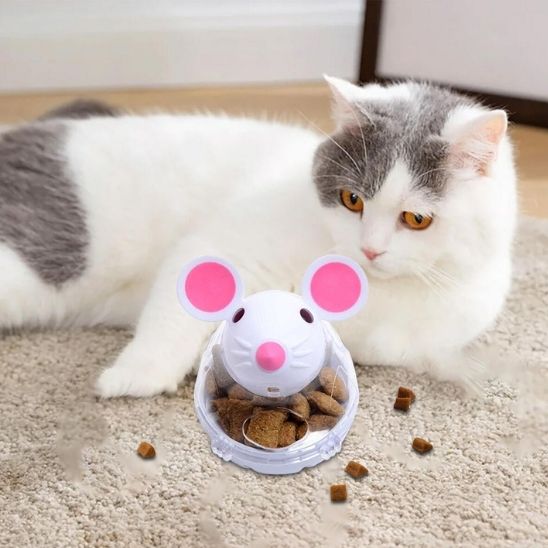 distributeur-croquettes-chat-exercice
