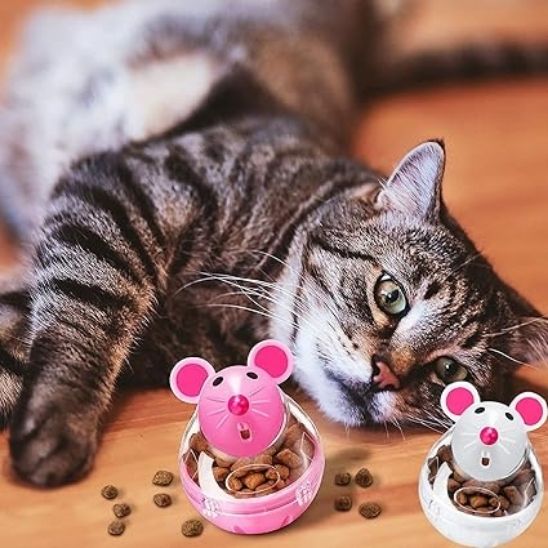 distributeur-croquettes-chat-jeu