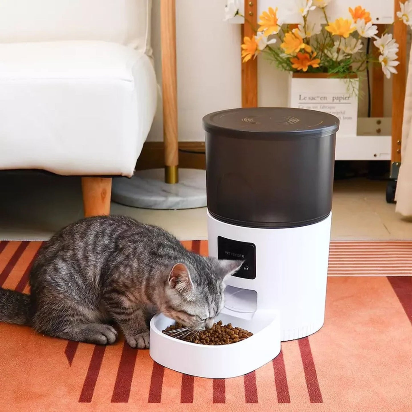 distributeur-croquettes-chat-pratique