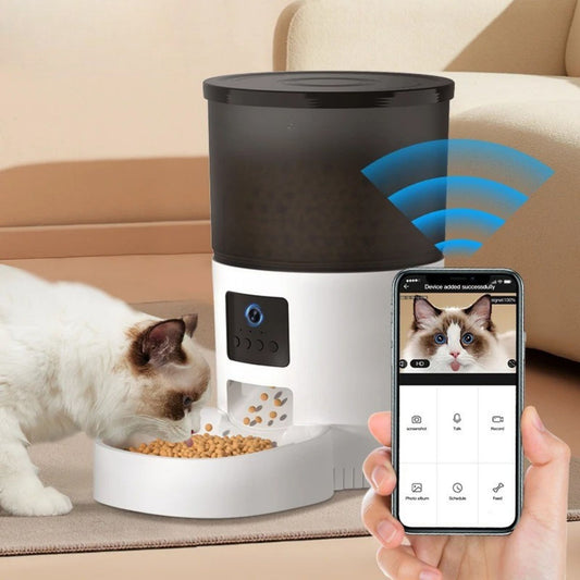 distributeur-croquettes-chat-vidéo