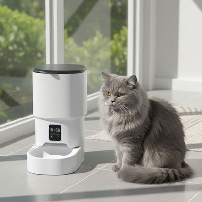 Distributeur de croquettes automatique chat 