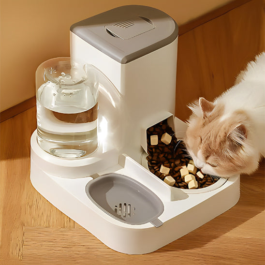 distributeur-de-croquettes-chat-complet
